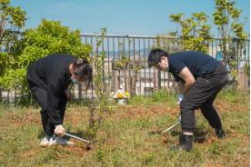 图一.jpg 图一.jpg